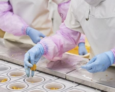 Food Processing