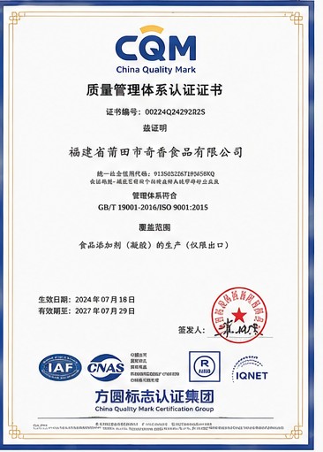 ISO 9001